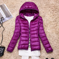 Capuche Violette